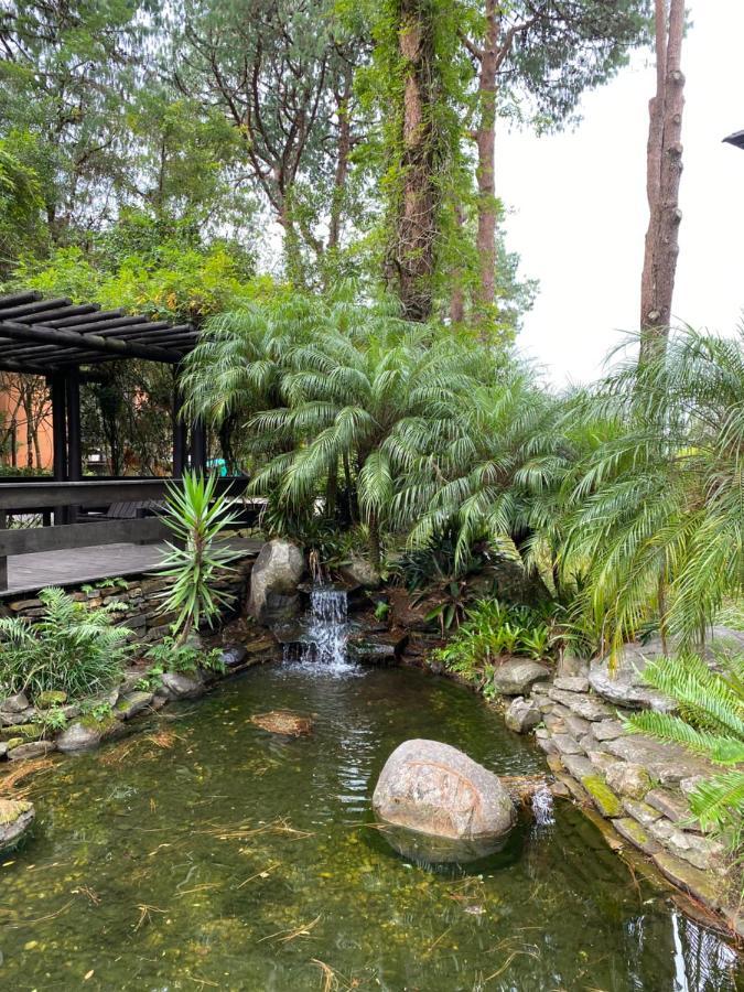 Apartamento Lindo Apto Em Gramado. *
